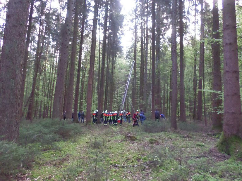 Maibaum_2016 (7)